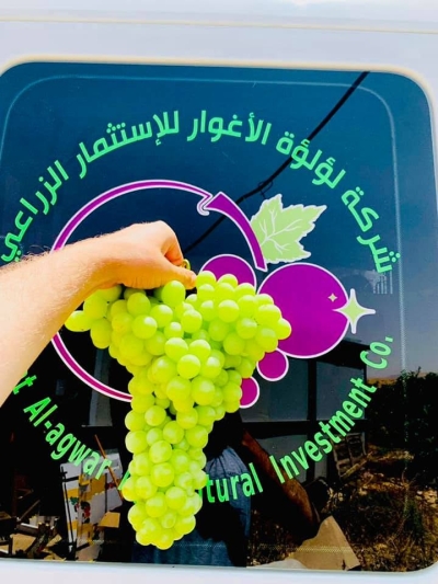 Luluat Al-Aghwar Agricultural Investment Company